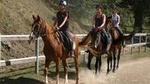 Half-Day Horseback Ride in Tuscany for beginner riders