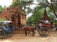 Half Day Sightseeing With Royal Horse