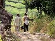 Half day Top Valley trek in Munnar