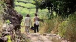 Half day Top Valley trek in Munnar