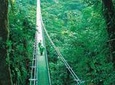 Hanging Bridges Tour From Monteverde