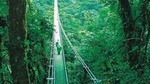Hanging Bridges Tour From Monteverde