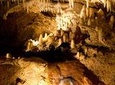 Harrison's Cave Tram Tour and Boat Cruise Snorkel Adventure