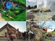 Hobbiton Movie Set and Rotorua's Geothermal Valley Tour departing Auckland
