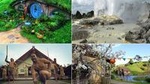 Hobbiton Movie Set and Rotorua's Geothermal Valley Tour departing Auckland