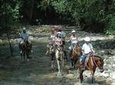 Horseback Riding from Manuel Antonio