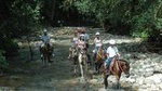 Horseback Riding from Manuel Antonio