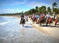 Small-Group Half-Day Horseback Riding Tour from Punta Cana