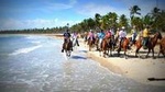 Small-Group Half-Day Horseback Riding Tour from Punta Cana