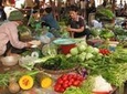 MORNING MARKET TOUR IN NHA TRANG