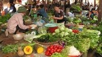 MORNING MARKET TOUR IN NHA TRANG