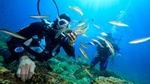 Nha Trang Diving Tour to Hon Mun Island