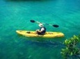 On Your Own: Kayak in the Mangrove Lagoon