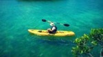 On Your Own: Kayak in the Mangrove Lagoon