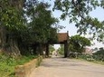 One days in Duong Lam Village tour with Lunch