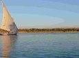 one hour felucca & lunch in traditional food koshry from Cairo/Giza hotels