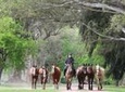 Polo Experience in Buenos Aires