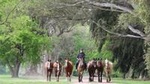 Polo Experience in Buenos Aires