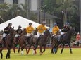 Honolulu Polo Game with Stables Tour and VIP Seats plus Private Island Tour