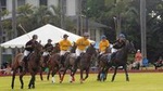 Honolulu Polo Game with Stables Tour and VIP Seats plus Private Island Tour