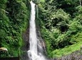 Private Full-Day West Bali Tour with Waterfall Visit