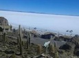 Private Cultural Tour: Uyuni Salt Flats includes grazing of llamas