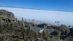 Private Cultural Tour: Uyuni Salt Flats includes grazing of llamas