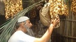 Private Dubai Traditional Tour with Museum and Abra