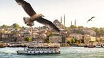 Private Full Day Istanbul Bosphorus Cruise and Asia Tour