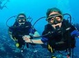Private Half-Day Scuba Diving and Snorkeling Tour