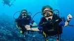 Private Half-Day Scuba Diving and Snorkeling Tour