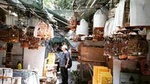 Private Half Day Tour: Hong Kong Local Markets Hopper