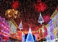 Private New York City Christmas Walking Tour