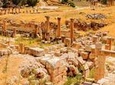 Private North Tour Jerash Ajloun and Um Qais from Dead Sea