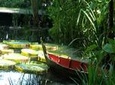 Private Tour: Full Day Round Penang Island Tour