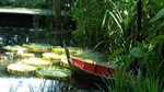 Private Tour: Full Day Round Penang Island Tour