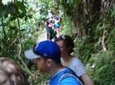Rain forest and Bird watching