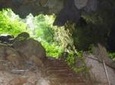 Saint Herman's Cave Hiking and Blue Hole Tour from Belize City