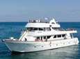 Sea Star full day Cruise from Paphos
