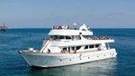 Sea Star full day Cruise from Paphos