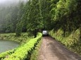 Seize your day in São Miguel with a 4WD private tour