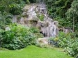 Shared Konoko Falls and Tropical Garden Tour from Runaway Bay