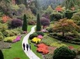 Butchart Gardens Shuttle from Victoria Hotels & Entry ticket 