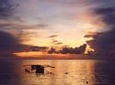 Siquijor Island Tour