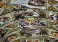 Exclusive | Private Vatican Museum & Sistine Chapel guided Tour | VIP Entrance 