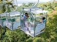 Sky Tram- Sky Trek & Sky Walk From Arenal