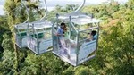 Sky Tram- Sky Trek & Sky Walk From Arenal