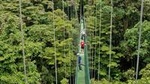 Sky Walk From Monteverde