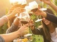Unforgettable Vineyard Lunch in Tuscany