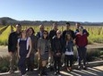 Wine Country Small-Group Tour from San Francisco with Tastings